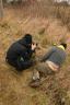 rogue photographers